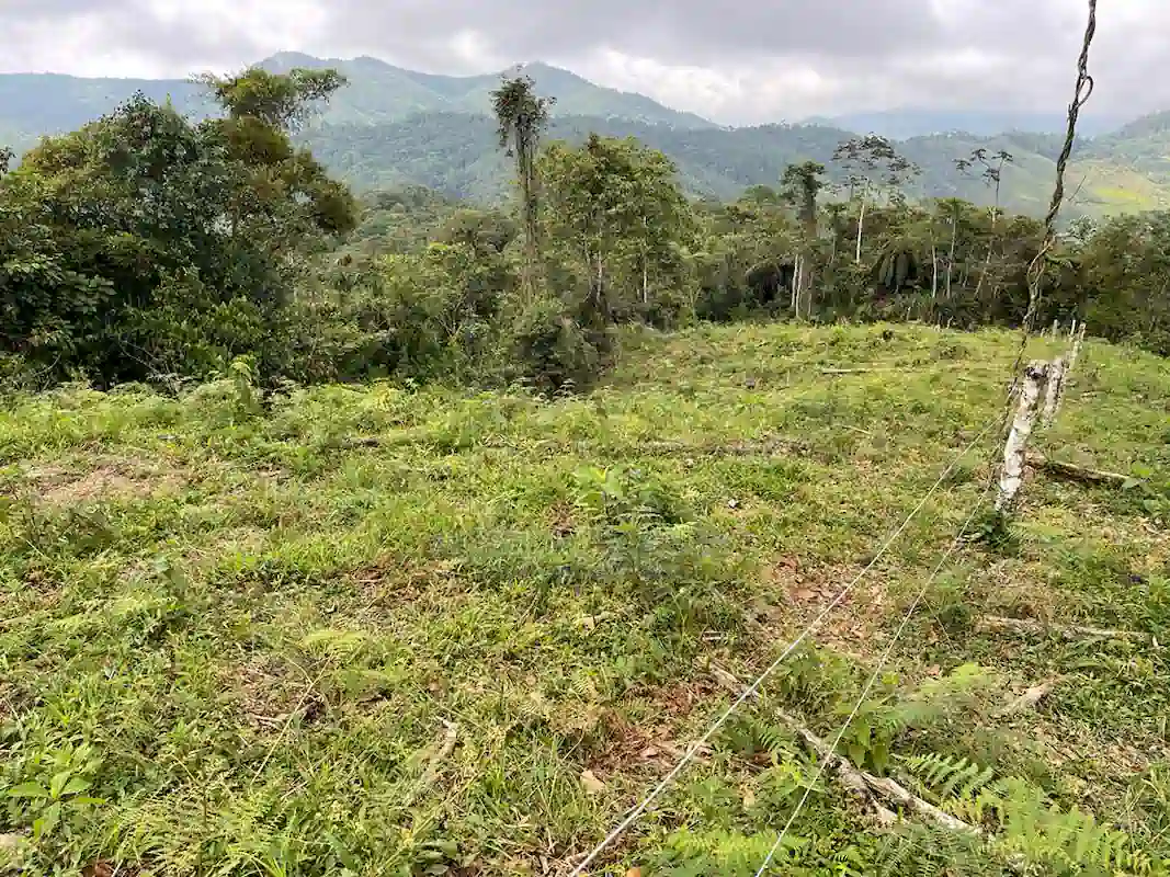 Finca Alto Gaviota